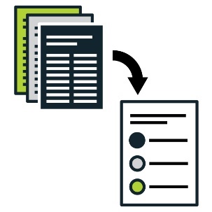 Summary of another document icon.